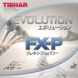 画像1: TIBHAR　エボリューション FX-P　Evolution FX-P [テンション系裏ソフト]